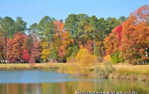 属马女人如何对付不重视你的丈夫