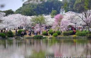 属蛇男对女票的哪些方面敢怒不敢言