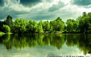 属龙男对女票的哪些方面敢怒不敢言