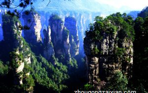 属兔处女男生的爱情观如何 花心吗