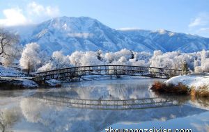 属兔男生快要表白前的表现