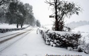 属兔男对女票的哪些方面敢怒不敢言