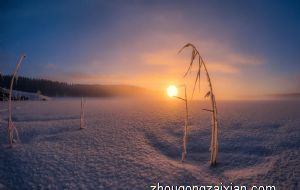 属兔男为什么会变渣