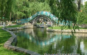 属兔男生动情的表现 真爱一个人的体现