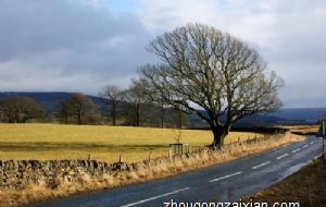 属狗的贵人和小人 分别要如何相处