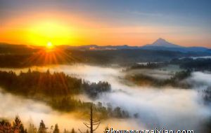 属猪女人如何对付不重视你的丈夫