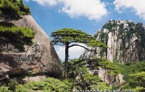 属猪女如何考验暧昧之人的真心