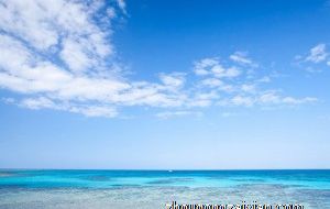 属狗男生快要表白前的表现