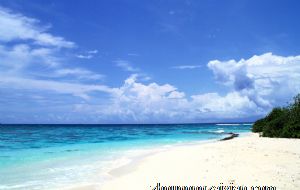 属狗男人可以挽回的征兆