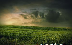 仗着资历高就会欺负别人的生肖