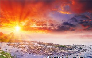 爱占小便宜事后还会沾沾自喜的生肖