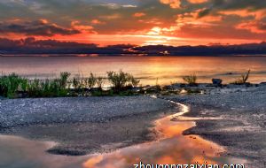 无忧无虑活得很乐观的四大生肖