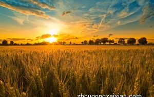 属马与属狗合得来吗 事来上合作好吗