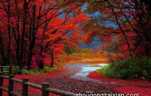 属兔的几月出生最好命男孩子 最忌讳哪个月出生