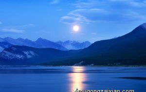 属虎的适合住什么楼层最好 住几楼大吉