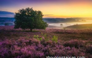 属猴的与属猴的八字合不合做生意 生意会好吗