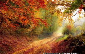 爸爸属猴孩子属羊好不好 生肖性格分析