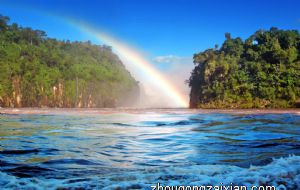 这些生肖的每个选择都听从自己的内心