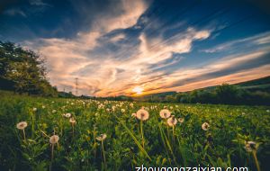 具有王子气质天生帅气的四大生肖