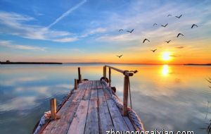 属马与属猴的在事业上合作好不好