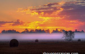 2021年小心祸从口出的四大生肖男