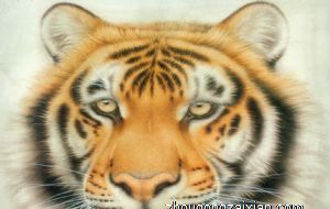 属虎2022年运势及运程