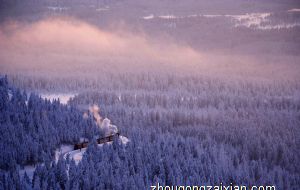 属虎什么数字吉利招财开运