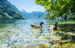 属虎几点出生大富大贵 时间详解