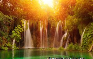 属猪什么数字吉利招财开运