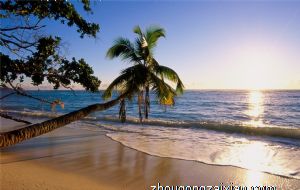 如何讨好属猴女生的喜欢