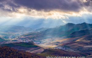 属狗的爱情里的雷区