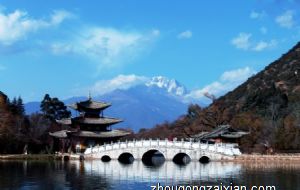 属狗谁最可能成为备胎