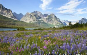 2022年五大生肖犯太岁