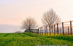 哪些生肖在2022年会遇到命中贵人