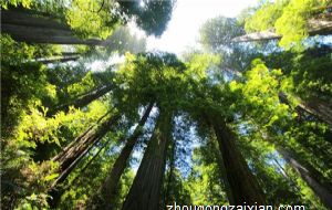 2022年这三大生肖健康运堪忧 “犯害”入命虎兔马