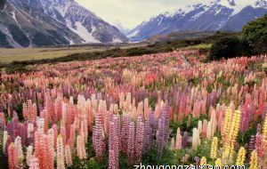 2022本命年生的孩子有福气吗 可以生宝宝吗