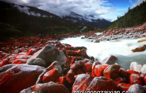 2021年属猪婚姻运势 可以遇到良人吗