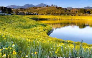 属牛2021年本命年可以结婚吗 需要注意什么