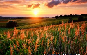 如何叫本命年旺三年 怎样提升自己的运势