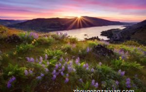 2022年属羊犯太岁是什么意思，如何化解