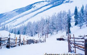 属鼠今年2021年下半年运势 