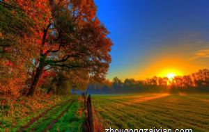 属猴人2021下半年财运分析 步步高升财库稳固