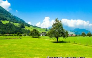 属猴2022年适合创业吗 今年事业运好吗