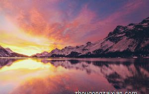 属蛇桃花运最旺在哪一年 感情丰富多彩的一年