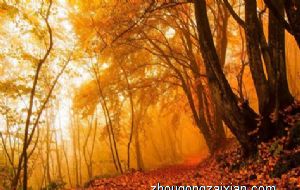 属蛇幸运色是什么颜色2022 穿什么颜色好