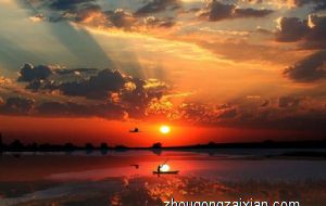 2022年虎本命年的大忌 有什么要注意的