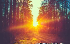 牛年什么生肖最旺 运气最好的生肖是哪些属相