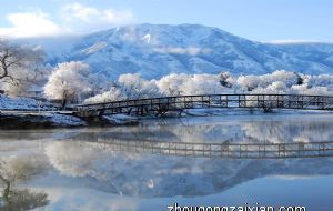 2022年属狗的人有偏财运吗