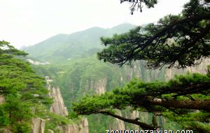 属兔2022年本命年运势如何 多颗凶星作祟