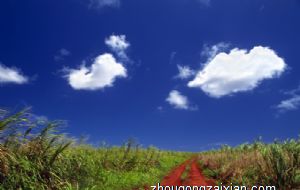 属蛇的贵人是哪个生肖 属猴人在其中